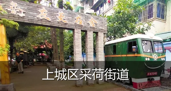 上城区采荷街道