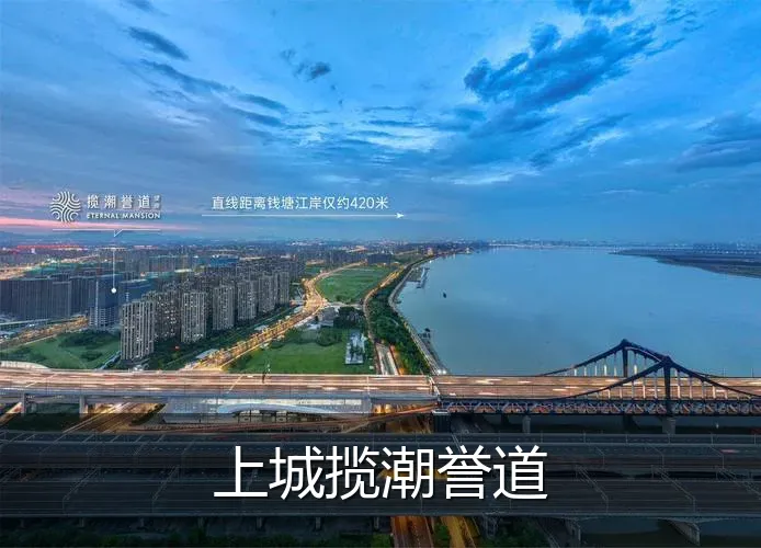 上城揽潮誉道