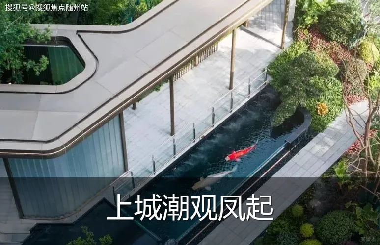 上城潮观凤起