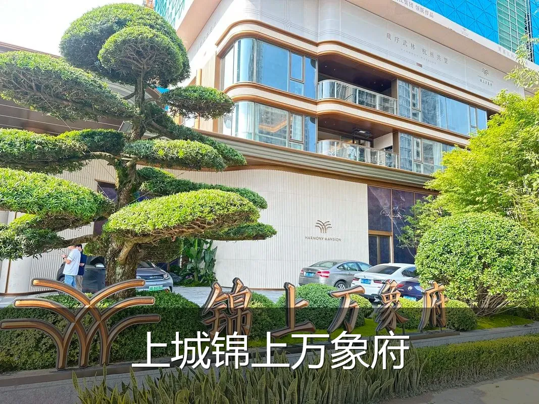 上城锦上万象府